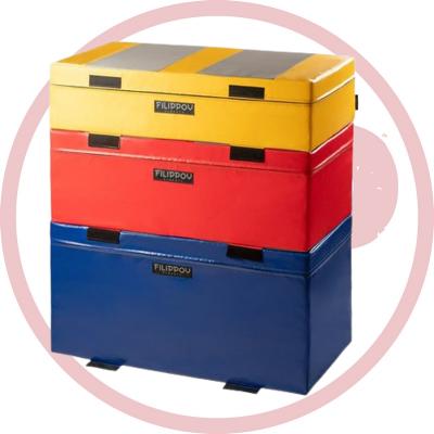 Плиобоксы (Plyo box) «onePRO FILIPPOV»